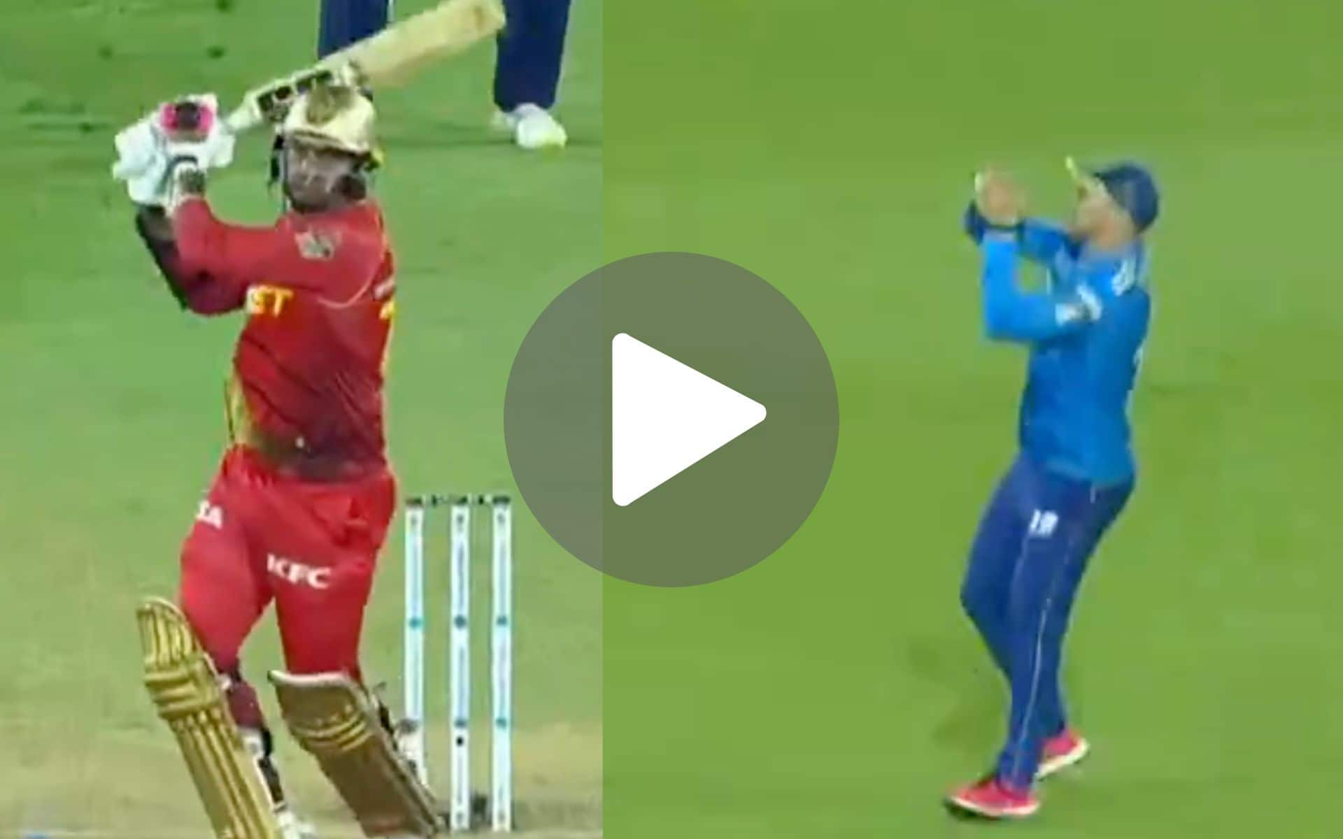 [Watch] Sunil Narine Gets Caught By Faf Du Plessis As A Debutant Sends Him Back In CPL 2024